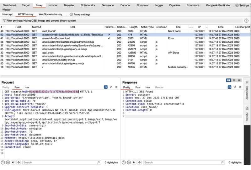 burp suite